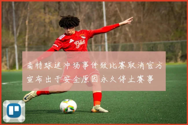 南特球迷冲场事件致比赛取消官方宣布出于安全原因永久停止赛事