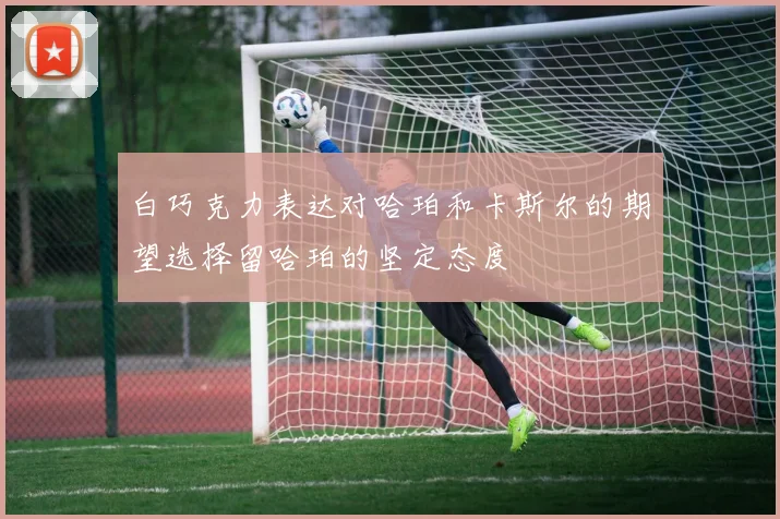 白巧克力表达对哈珀和卡斯尔的期望选择留哈珀的坚定态度
